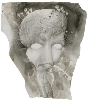 Kinneus Knipperwimper