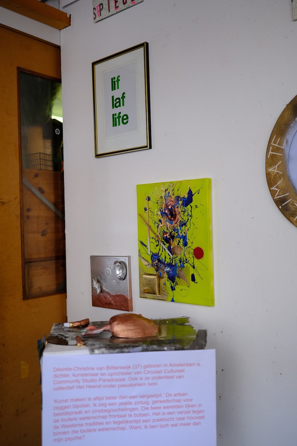 Spiegelwereld - Désirée van Blitterswijk - Image 4