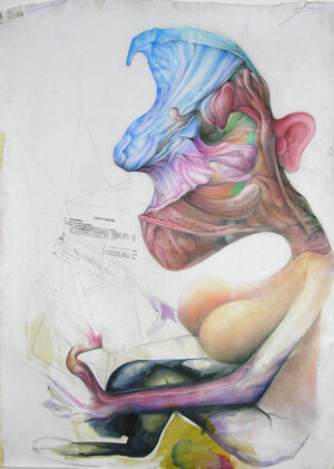 De gebruiksaanwijzing